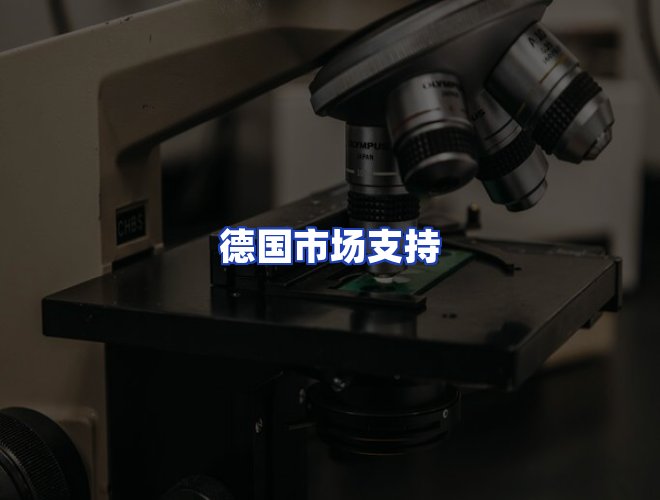 专业团队
